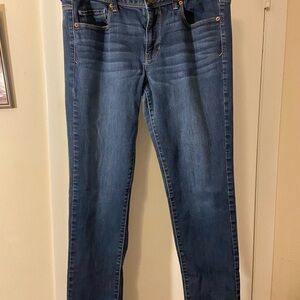 American Eagle Outfitters Indigo Straight Leg Jeans